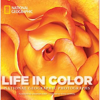 Vida en Color: Fotografías Impactantes de National Geographic