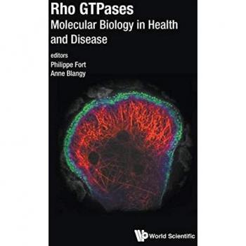 Rho GTPases: Molecular Biology in Health and Disease