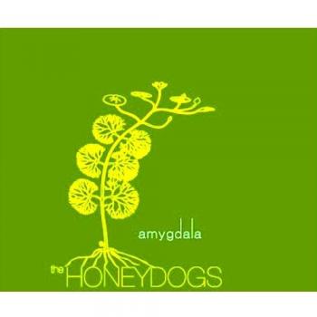 Amygdala