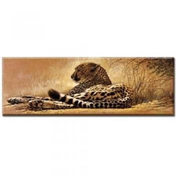 Little Rest, corto Pause, imagen de Renato Casaro, Tamaño 90 cm x 30 cm, impresión digital sobre lienzo impreso, con bastidor, imagen, Wohnen y imágenes, animales en libertad Natural, África