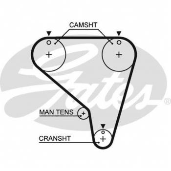 Correa dentada GATES Timing Belt 5266XS - Correa de distribución, longitud: 1660 mm, número de dientes: 109, ancho: 25 mm, material: caucho reforzado con fibra sintética, diseño
