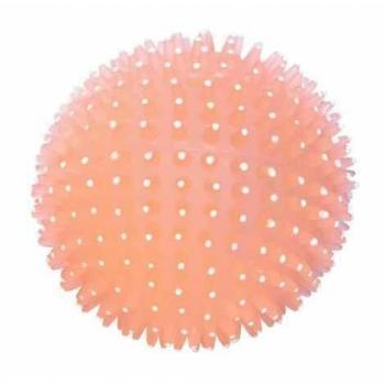 Pelota con Sonido y Brilla en la Oscuridad para Perros
