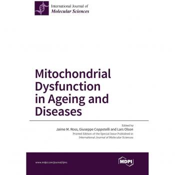 Disfunción Mitocondrial en el Envejecimiento y Enfermedades