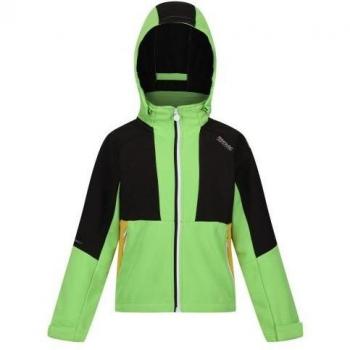 Chaqueta Softshell Regatta Haydenbury para Niños de 11 a 12 Años - Verde