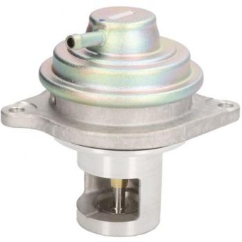 Válvula EGR Delphi EG10525 para Mercedes A-Klasse, B-Klasse y Smart Fortwo