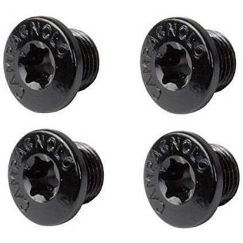 Campagnolo 760010 Juego de Tornillos para Plato, 4 Brazos