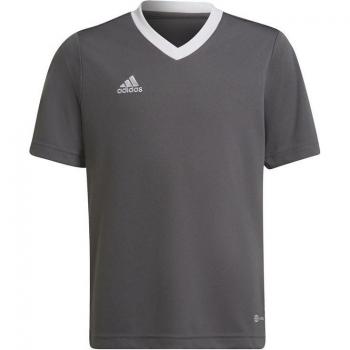 Maillot Infantil Adidas Entrada 22 Gris Unisex