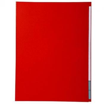 Exacompta 421012E - Lote de 100 Subcarpetas Forever® 180 con Portada Más Estrecha, Color Rojo