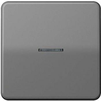 Tecla con visor pequeño CD500 gris JUNG