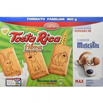 Tosta Rica Fibra Caja De Galletas - Paquete de 9 x 95.56 gr - Total: 860 gr