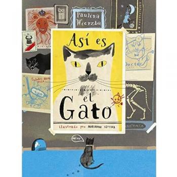 Así es El Gato