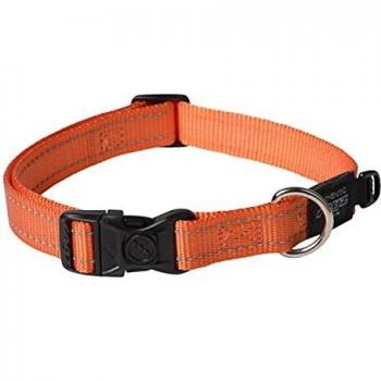 Collar de Perro Reflectante de Rogz, Tipo cinturón, de 1,9 cm