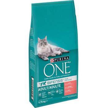 Purina ONE Bifensis Dry Cat Food - Economy Pack - Adult Salmon & Whole Grains 2 x 9.75 kg