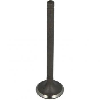 Válvula de escape FRECCIA R6612/RNT / IPSA VL189900 - Válvula de escape, compatible con modelos FRECCIA R6612 y IPSA VL189900, fabricada en materiales resistentes a altas temperaturas
