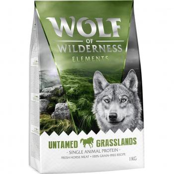 Wolf of Wilderness Elements Untamed Grasslands Horse Dry Dog Food - 2 x 1 kg Special Price Pack