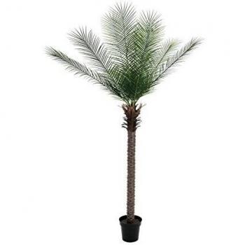 Europalms Phoenix Deluxe, 220 cm, Multicolor, Talla única