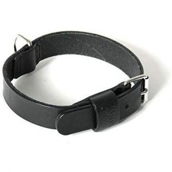 Collar de cuero bicolor para perro Martin Sellier 499 con correa incluida (tamaños 25, 37, 45 cm)