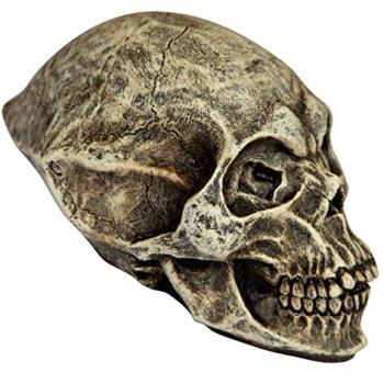 Cráneo Alienígena Decorativo de Látex Resistente, Pintado a Mano, 127 cm - Ideal para Halloween y Fiestas de Disfraces