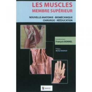 Les muscles : membre superieur