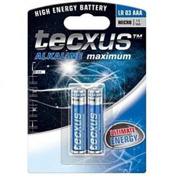 Tecxus Alkali Micro AAA, 2 unidades)