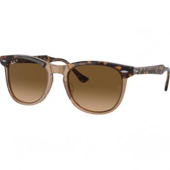 Ray-Ban RB2398 Eagle Eye Polarized Sunglasses in Polished Havana on Transparent Brown with Brown Lenses, Size 53 O/S