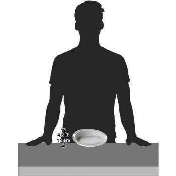 Patterson Medical - Plato adaptado