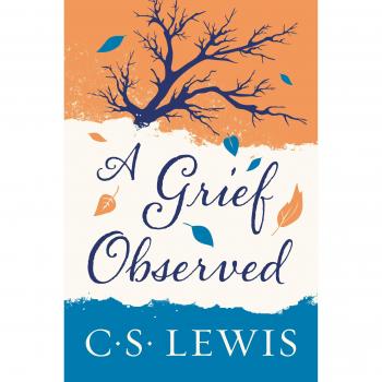 Grief Observed A