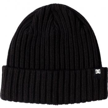 Gorro de hombre Fish N Destroy 2 DC Shoes