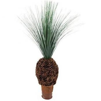Europalms 82511335 Rain Grass Palm with Nodule Trunk, 90 cm, Multicolor, Talla única