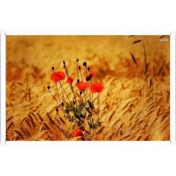 Metal cartel Cartel de chapa Hojalata sesión Flower Tin Sign Poppies In The Wheat Field 23116 Retro Vintage Pared Decoración by hamgaacaan