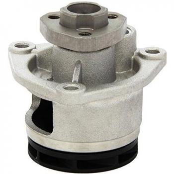 DOLZ O181 Bomba de Agua
