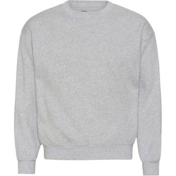Colorful Standard Organic Oversized Crewneck Sweatshirt in Heather Grey