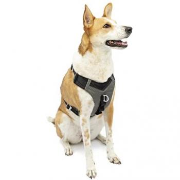 Arnés para Perros Kurgo Journey Air Negro Grande