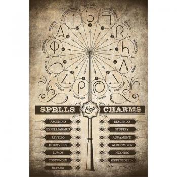 Harry Potter Spells and Charms Maxi Poster 91.5 x 61 cm