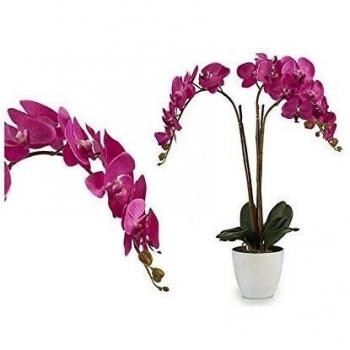 Maceta de plástico para orquídeas 44 x 88 x 60 cm fucsia/blanco