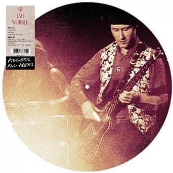 Jah Wobble Access All Areas 2015 UK picture disc LP DEMREC83