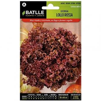Lechuga LOLLO ROSSA