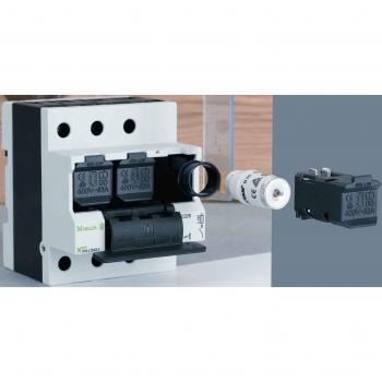 63A 4P Neozed Switch Disconnector D02-LTS/63-3N