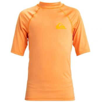 Camiseta de niños Quiksilver Everyday manga corta naranja 14