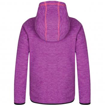 Dare 2b - Forro Polar para niños con Capucha y Cremallera Completa, Infantil, Color Ultraviolet Purple, tamaño Talla 11-12