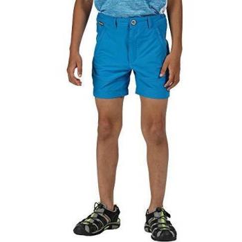 Regatta Junior Highton-Pantalón Corto Elástico De Deporte Shorts, Niñas, Blue Aster, 9-10