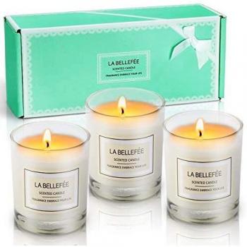 LA BELLEFÉE Vela perfumada en tarro de cera de soja, ideal para aniversario, cumpleaños, baño, yoga, Navidad, madre, padre, día de San Valentín, 3 paquetes