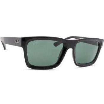 Ray-Ban RB4396 Warren Sunglasses
