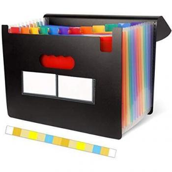 Orgawise Carpeta Clasificadora Extensible Archivador Acordeon con un Gran 12 Bolsillos con 12 Pestañas Personalizables Jerarquizadas, Solapa y Cierre de Banda Elástica