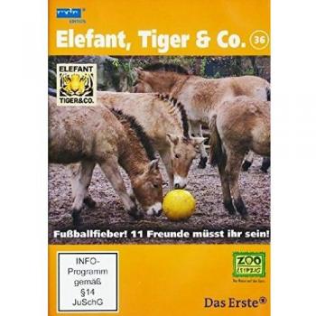 Elefant, Tiger & Co. - Teil 36: Fußballfieber! 11 Freunde müsst ihr sein! [Alemania] [DVD]
