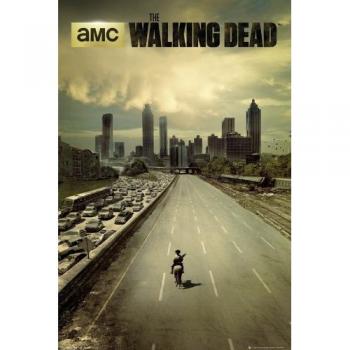 Grupo Erik The Walking Dead City, Póster Solo