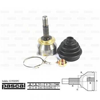 Juego de juntas y articulación del eje de transmisión PASCAL G1F025PC, incluye juntas y articulaciones para el árbol de transmisión, fabricado con materiales de alta calidad para garantizar durabilidad y resistencia al desgaste, compatible con múltip