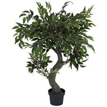EUROPALMS Árbol del bosque de Ficus, 80cm
