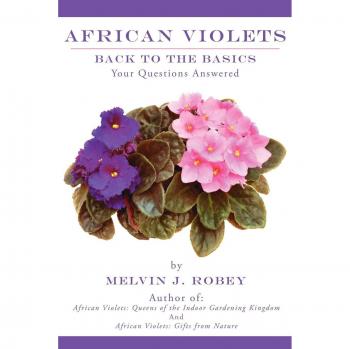 African Violets Guidebook: Essential Care Tips and FAQs