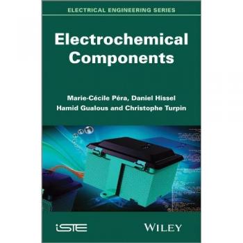 Electrochemical Components